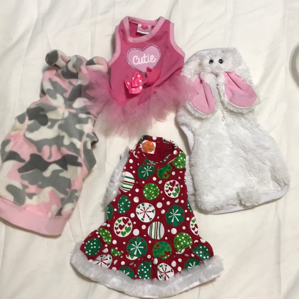 Pet clothes